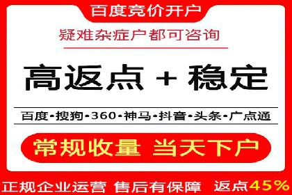 成功SEM推广代运营案例分享
